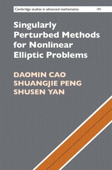 Couverture_Singularly Perturbed Methods For Nonlinear Elliptic Problems