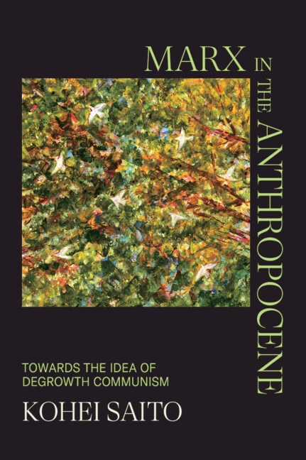 Couverture_Marx in the Anthropocene