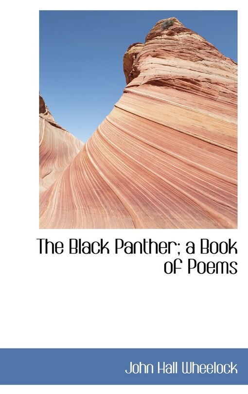 Front cover_The Black Panther; a Book of Poems
