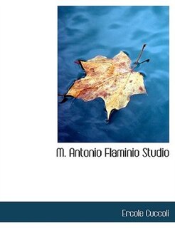 Couverture_M. Antonio Flaminio Studio