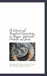 A Critical and Exegetical Commentary on Haggai, Zechariah, Malachi and Jonah de Hinckley G Mitchell