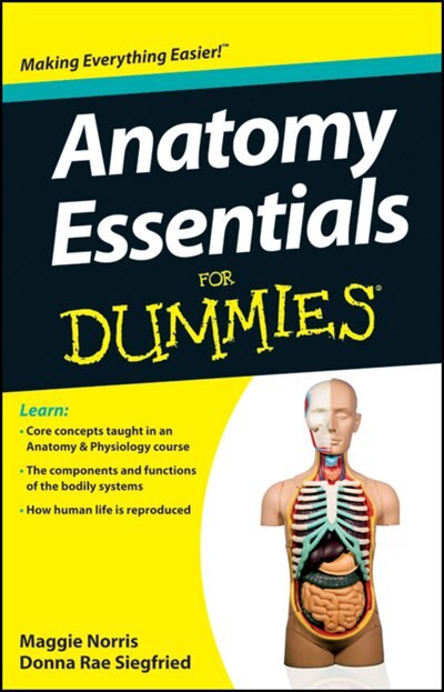 Front cover_Anatomy Essentials For Dummies