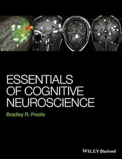 Essentials of Cognitive Neuroscience