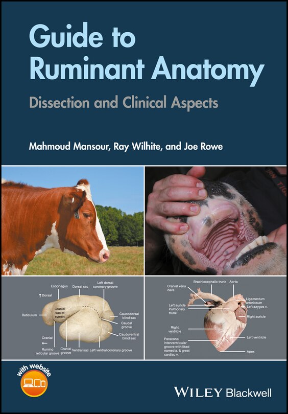 Front cover_Guide to Ruminant Anatomy