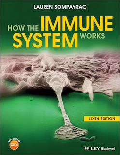 Front cover_How the Immune System Works