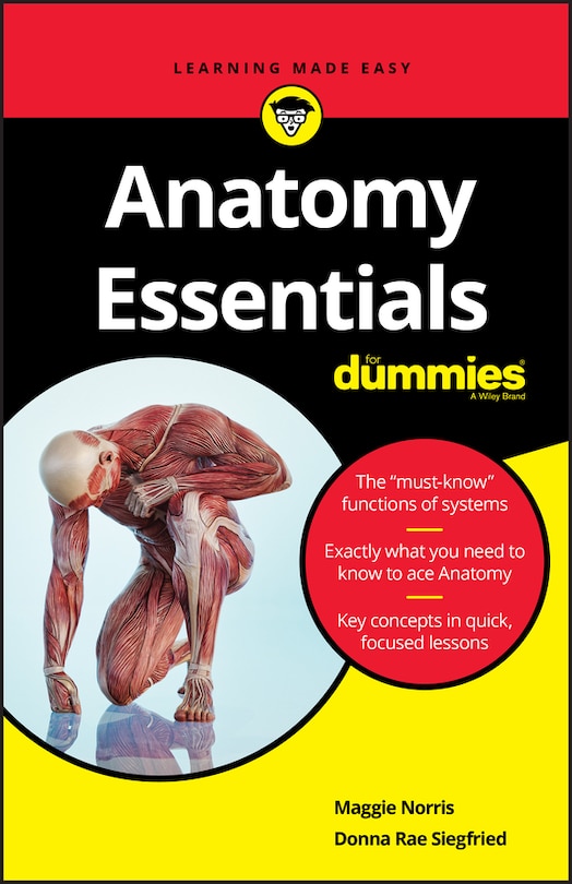 Front cover_Anatomy Essentials For Dummies