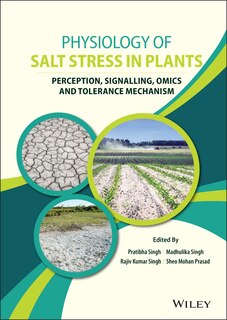 Front cover_Physiology Of Salt Stress In Plants