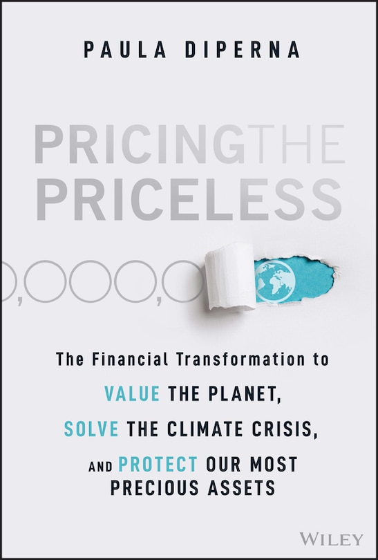 Front cover_Pricing the Priceless