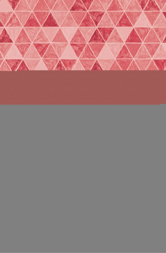 Front cover_How Memory Divides