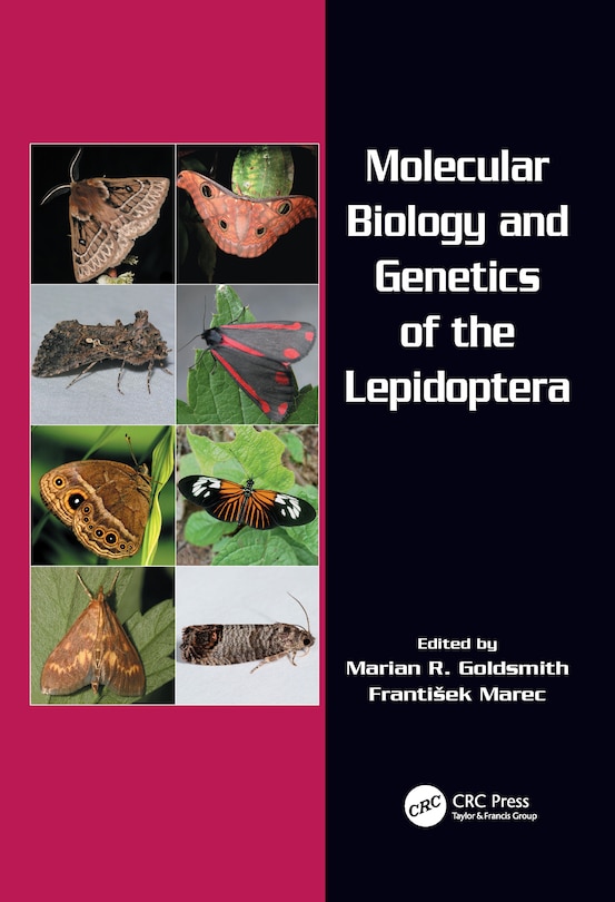 Front cover_Molecular Biology And Genetics Of The Lepidoptera