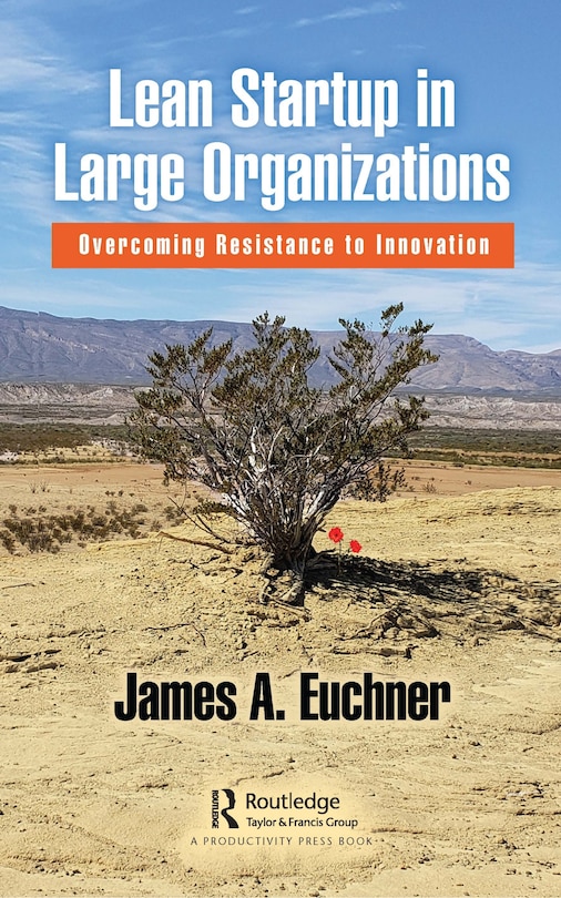 Front cover_Lean Startup In Large Organizations