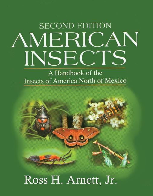 Couverture_American Insects