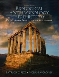 Front cover_Biological Anthropology And Prehistory
