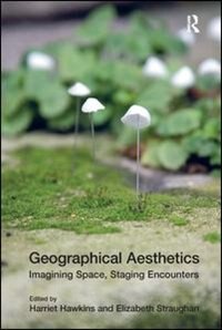Couverture_Geographical Aesthetics