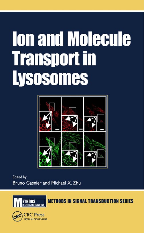 Couverture_Ion And Molecule Transport In Lysosomes