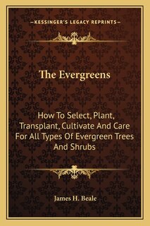 Couverture_The Evergreens