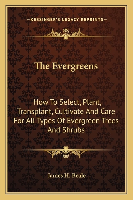 Couverture_The Evergreens
