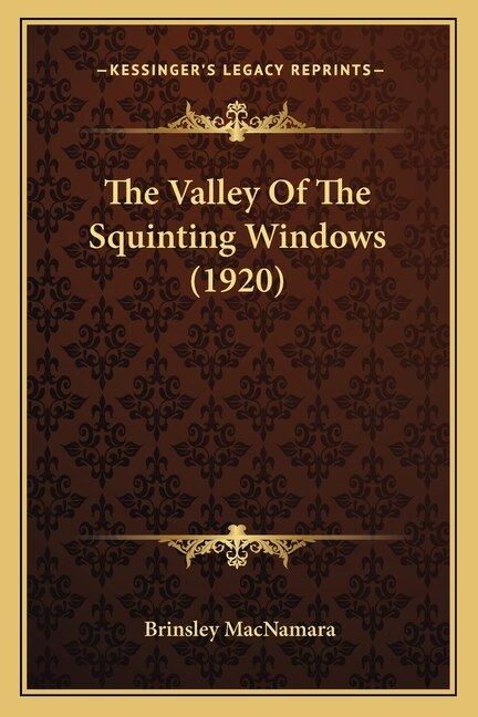 Couverture_The Valley Of The Squinting Windows (1920)