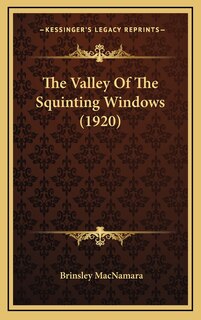 Front cover_The Valley Of The Squinting Windows (1920)