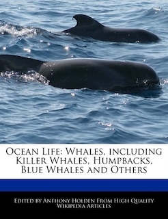 Ocean Life: Whales, Including Killer Whales, Humpbacks, Blue Whales And Others