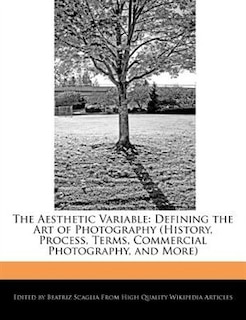 Couverture_The Aesthetic Variable
