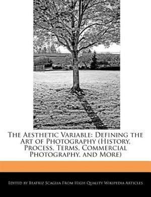 Couverture_The Aesthetic Variable