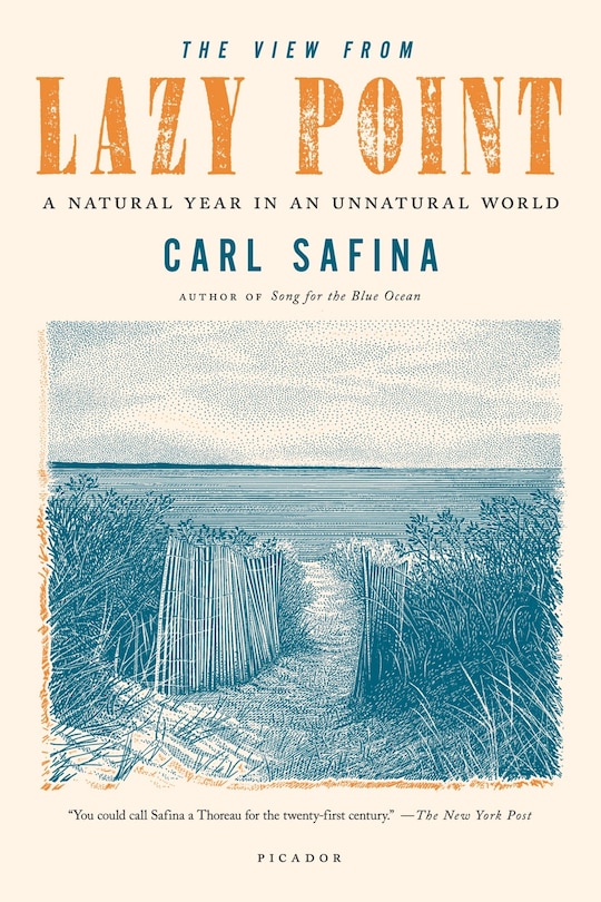 Front cover_The View from Lazy Point