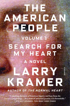 The American People: Volume 1: Search for My Heart: A Novel