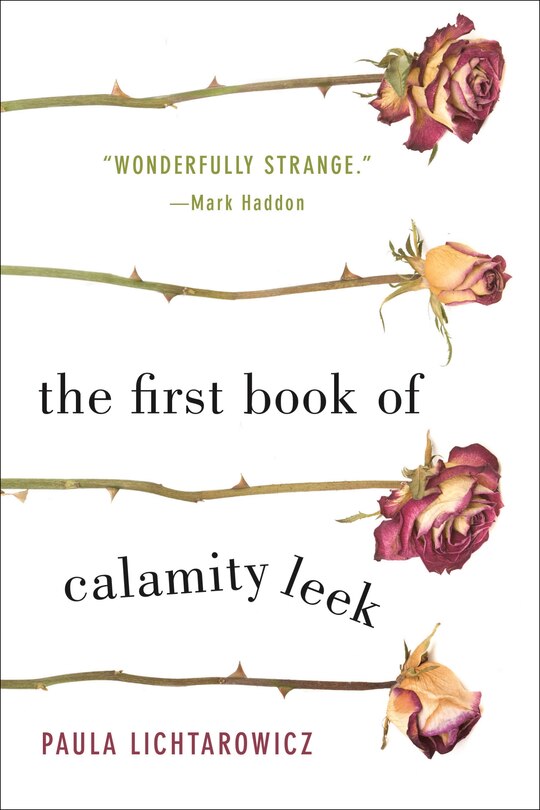 Couverture_The First Book Of Calamity Leek