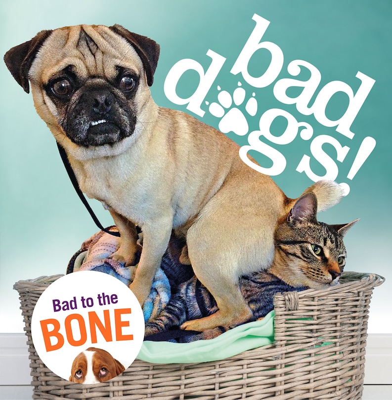 Front cover_Bad Dogs