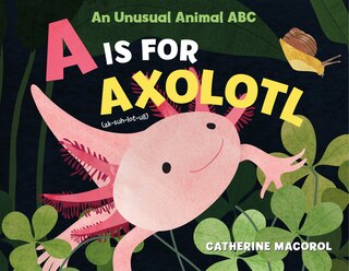 Couverture_A Is for Axolotl: An Unusual Animal ABC