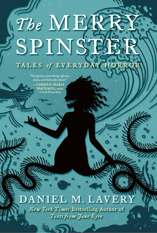 Front cover_The Merry Spinster