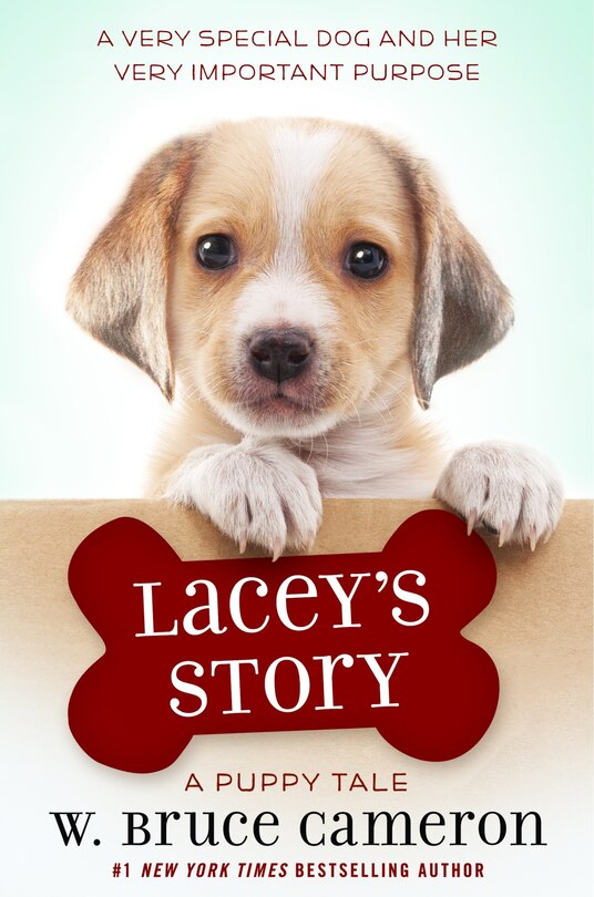 Couverture_Lacey's Story