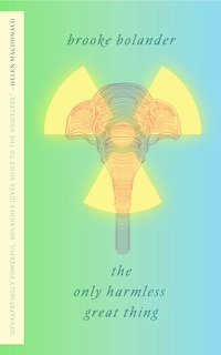Couverture_The Only Harmless Great Thing