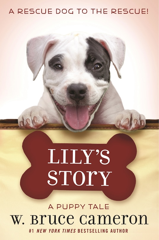 Front cover_Lily's Story