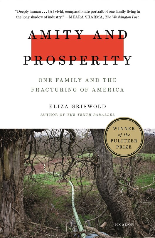Couverture_Amity And Prosperity
