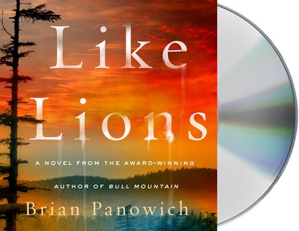 Like Lions: A Novel