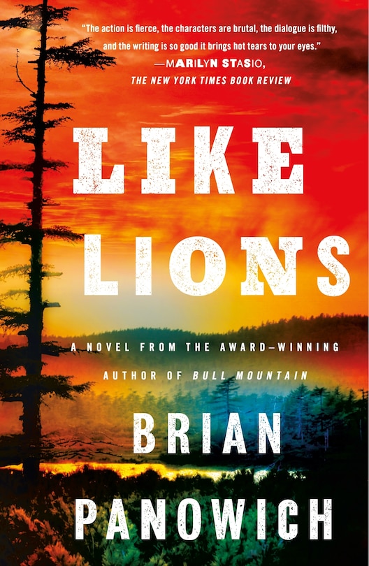 Like Lions: A Novel