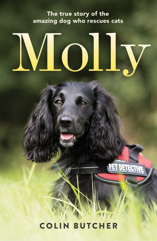 Front cover_Molly: The True Story of the Amazing Dog Who Rescues Cats