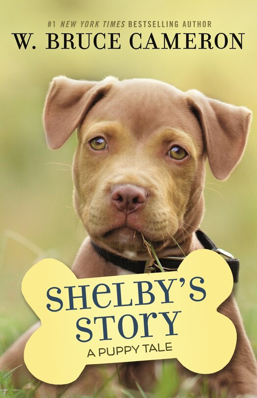 Front cover_Shelby's Story