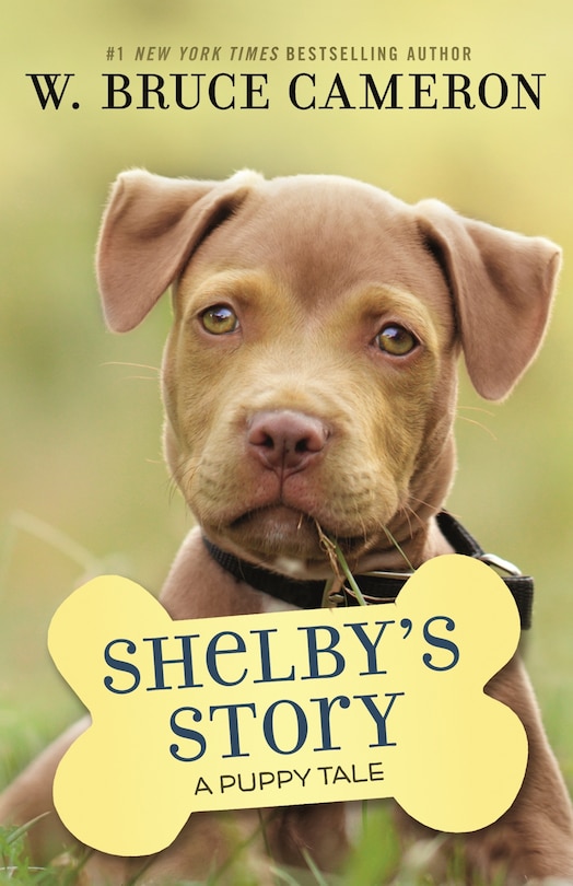 Front cover_Shelby's Story