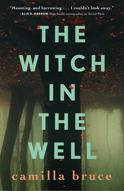 Front cover_The Witch In The Well