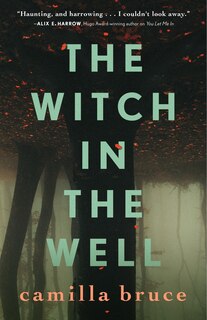 Front cover_The Witch In The Well