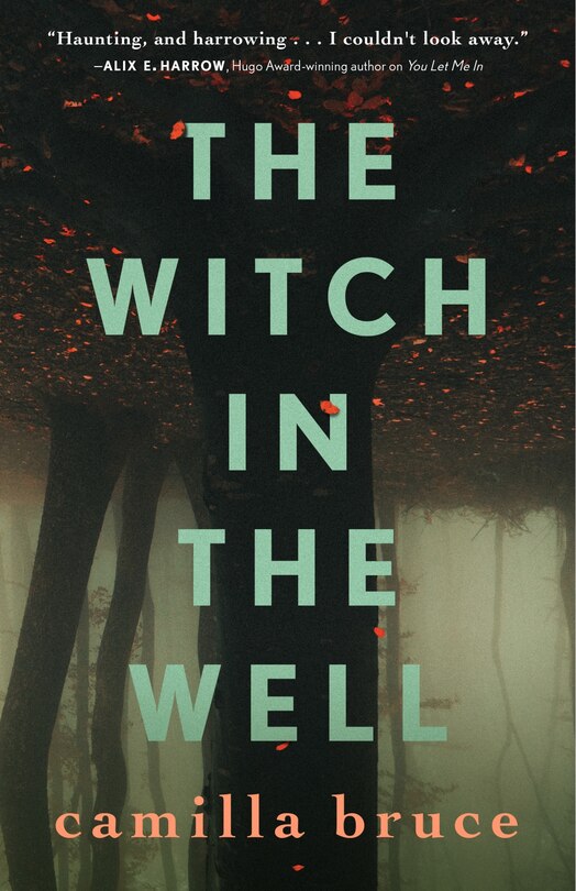 Front cover_The Witch In The Well
