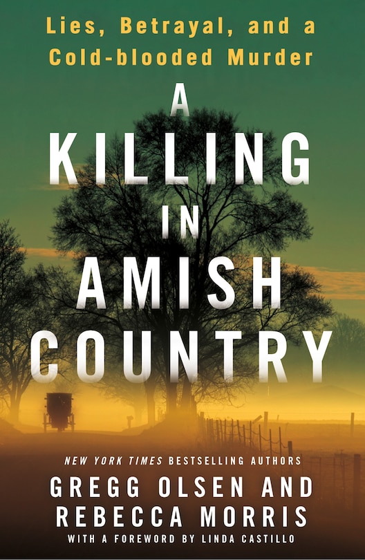 Front cover_A Killing in Amish Country