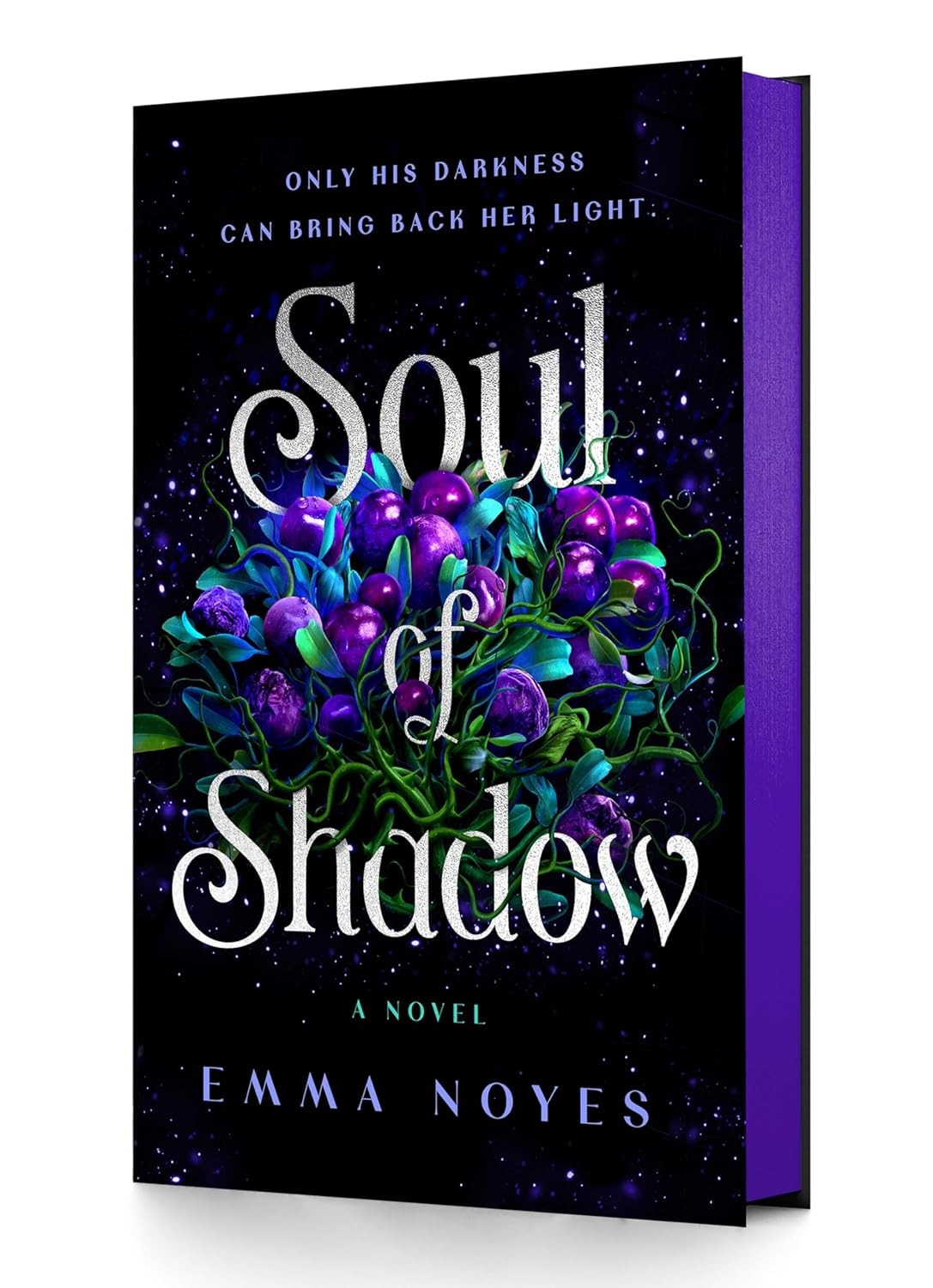Young Adult Books & Teenage Literature | Indigo