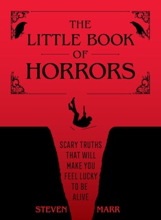 Front cover_The Little Book of Horrors