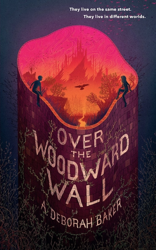 Front cover_Over the Woodward Wall