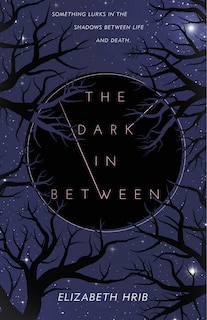 Front cover_The Dark In-Between