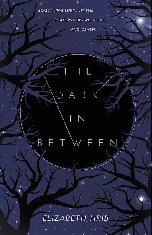 Front cover_The Dark In-Between